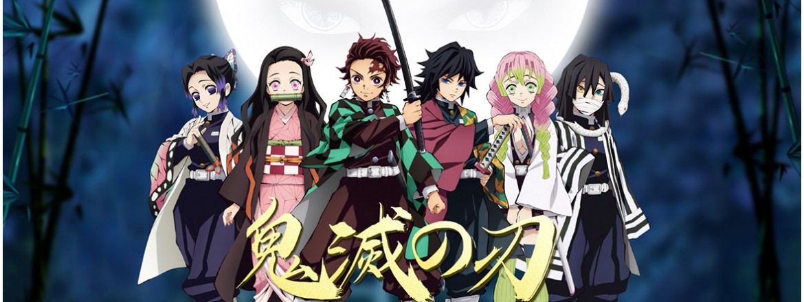 Demon Slayer Kimetsu no Yaiba Cosplay Costume