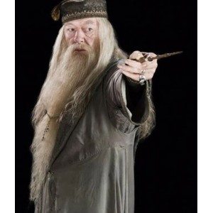 Harry Potter : Albus Dumbledore Professeur Wig Et Barbe Cosplay