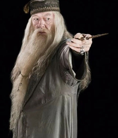 Harry Potter : Albus Dumbledore Professeur Wig Et Barbe Cosplay