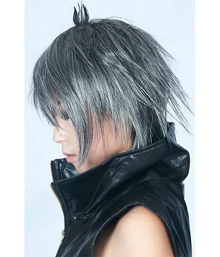 Final Fantasy : Gris Argenté Wig Noctis Lucis Caelum Cosplay