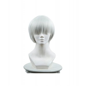 NieR : Automata YoRHa No. 9 Type S Masculin Gris Clair Wig Cosplay