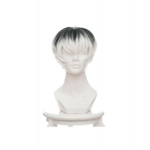 Tokyo Ghoul : Haise Sasaki Gris Court Wig Cosplay Achat